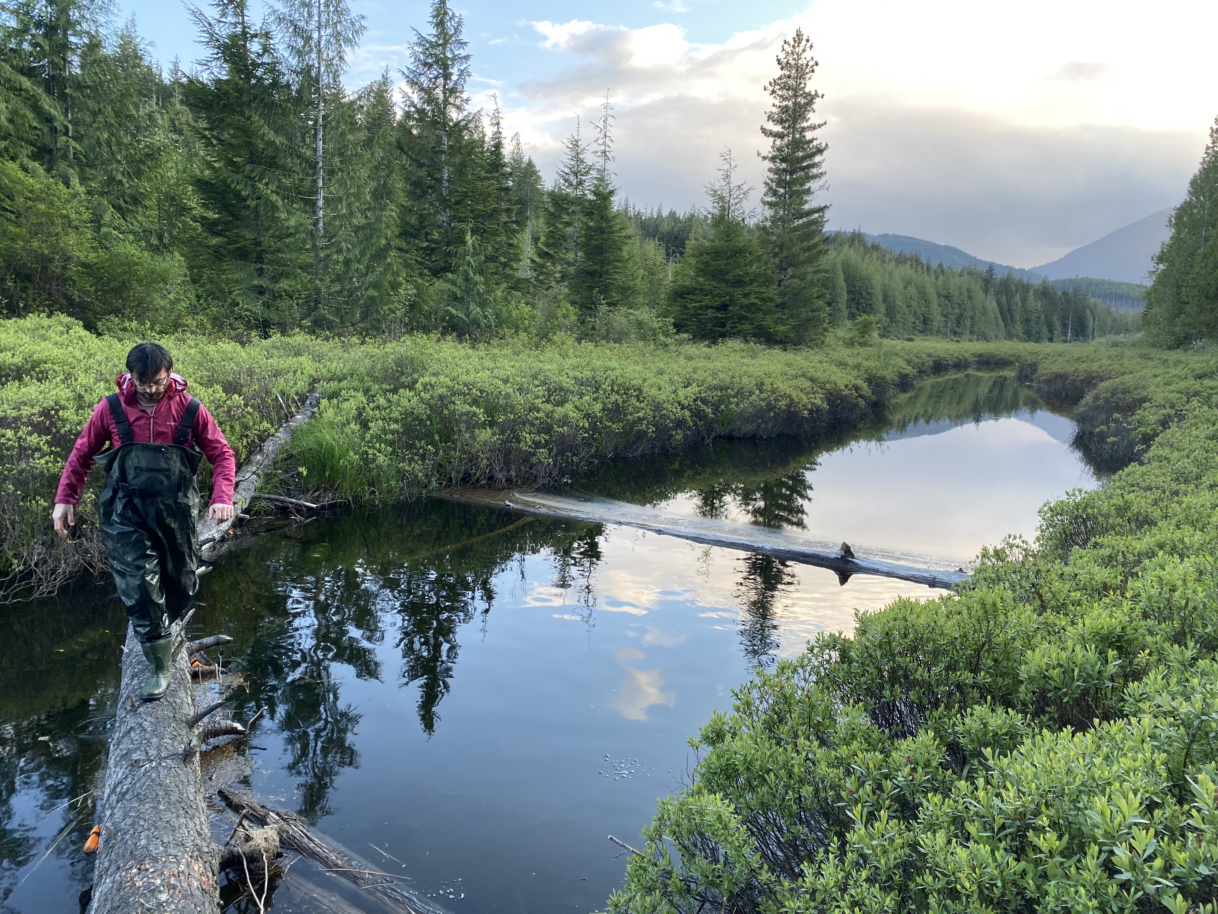 Fieldwork image 1