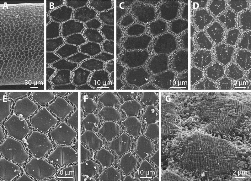 Masters Research Photos image 13