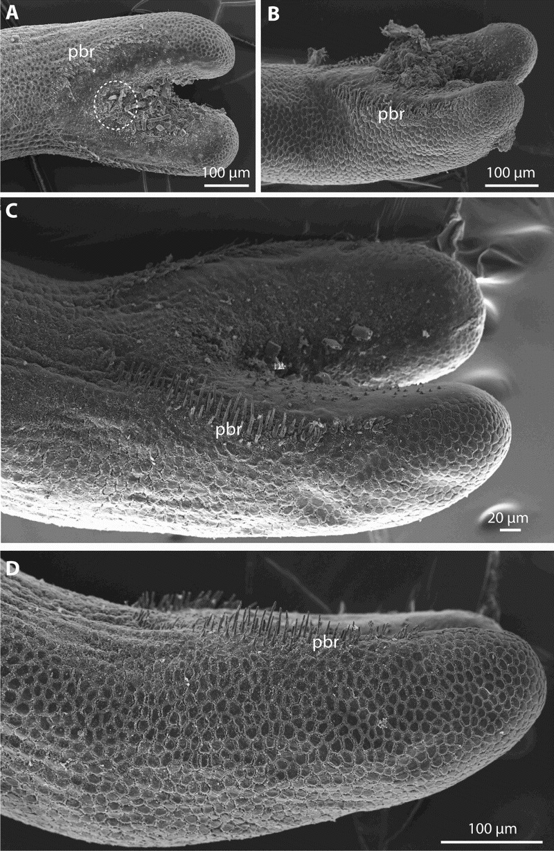Masters Research Photos image 14