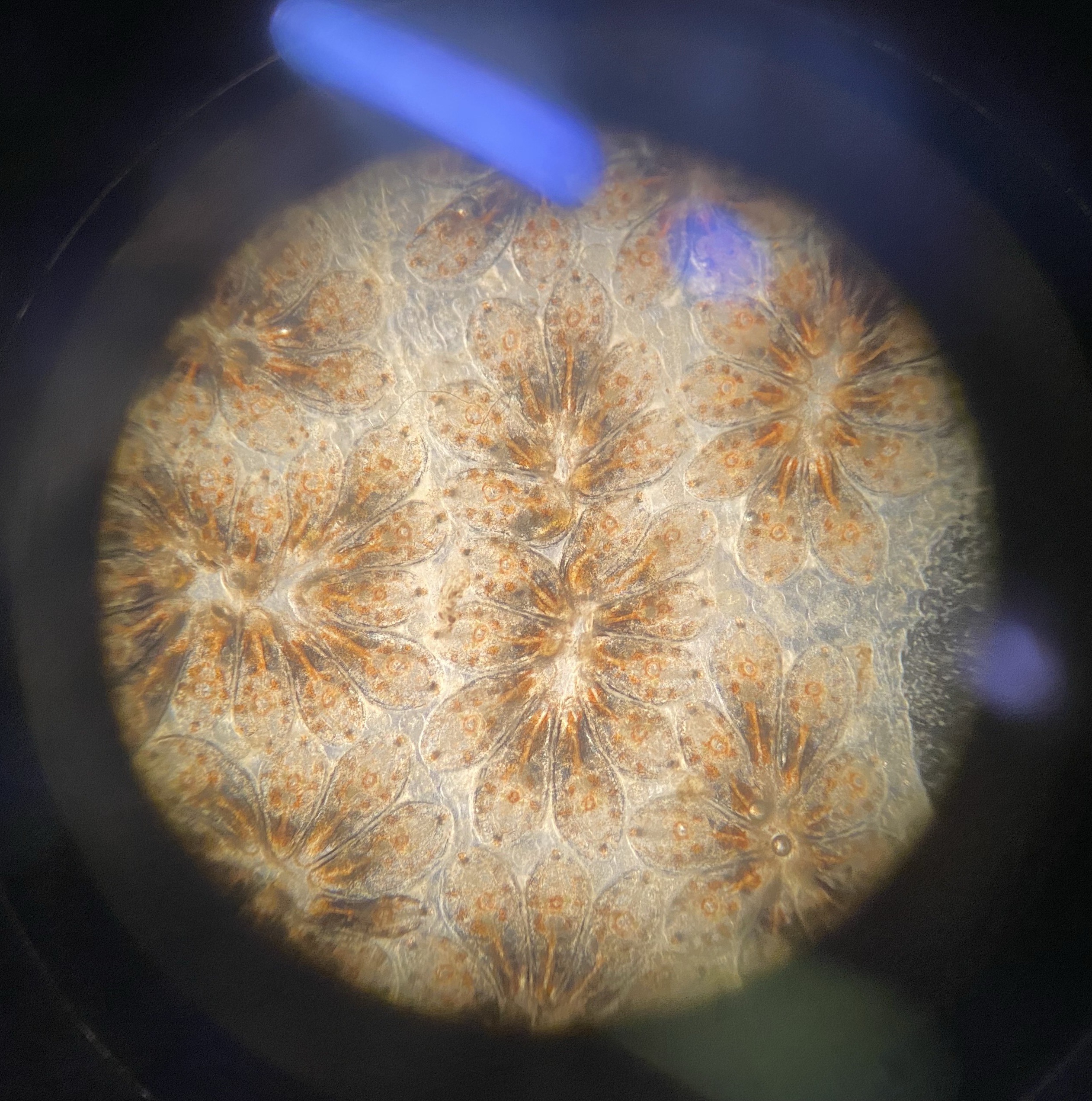 PhD Research Photos cover image