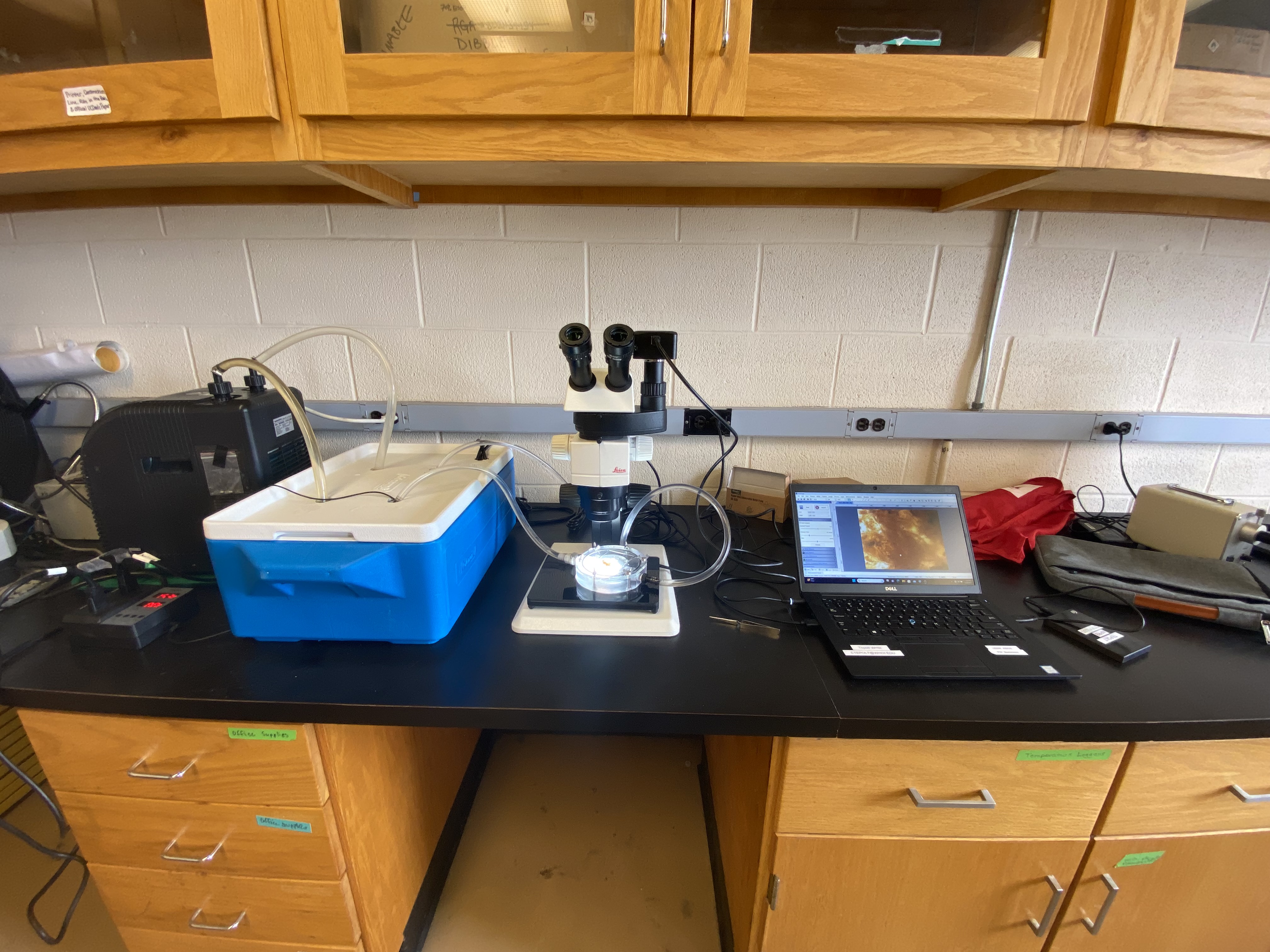 PhD Research Photos image 13