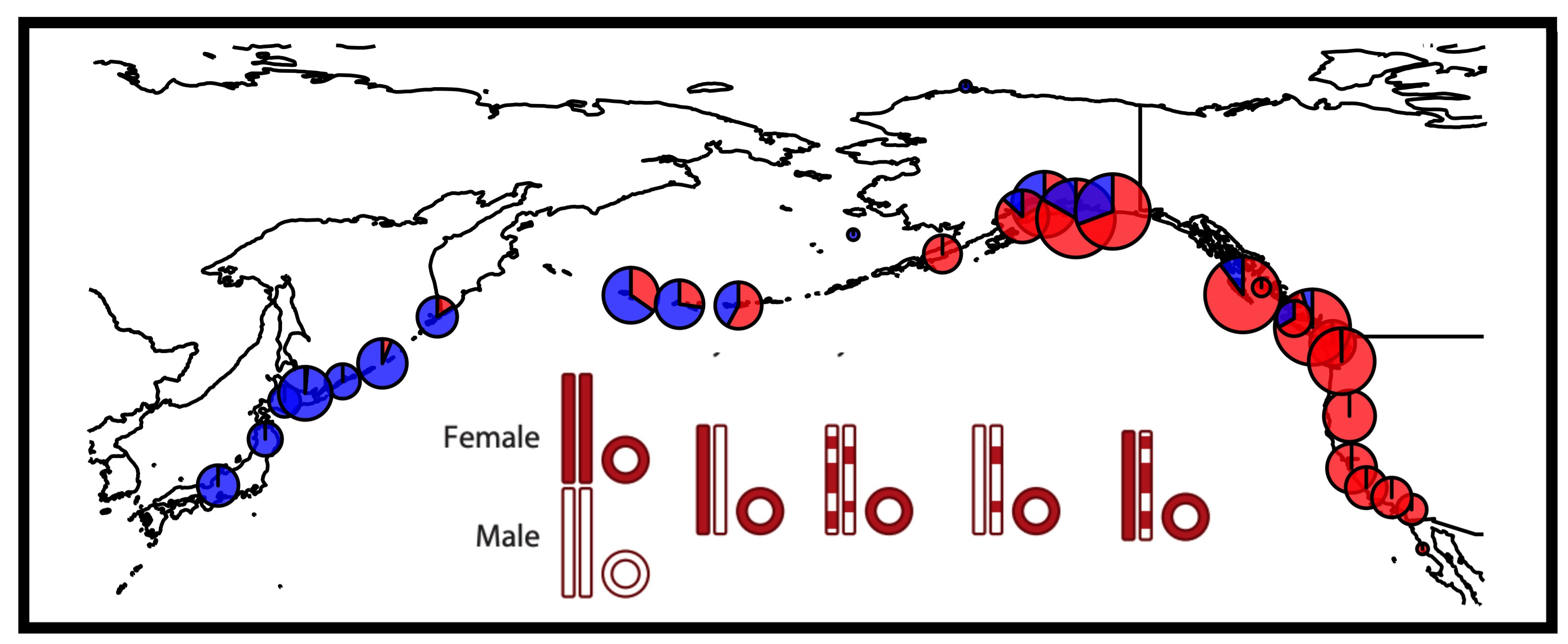 Map of the North Pacific showing geographic patterns of stickleback mitochondrial and nuclear ancestry.