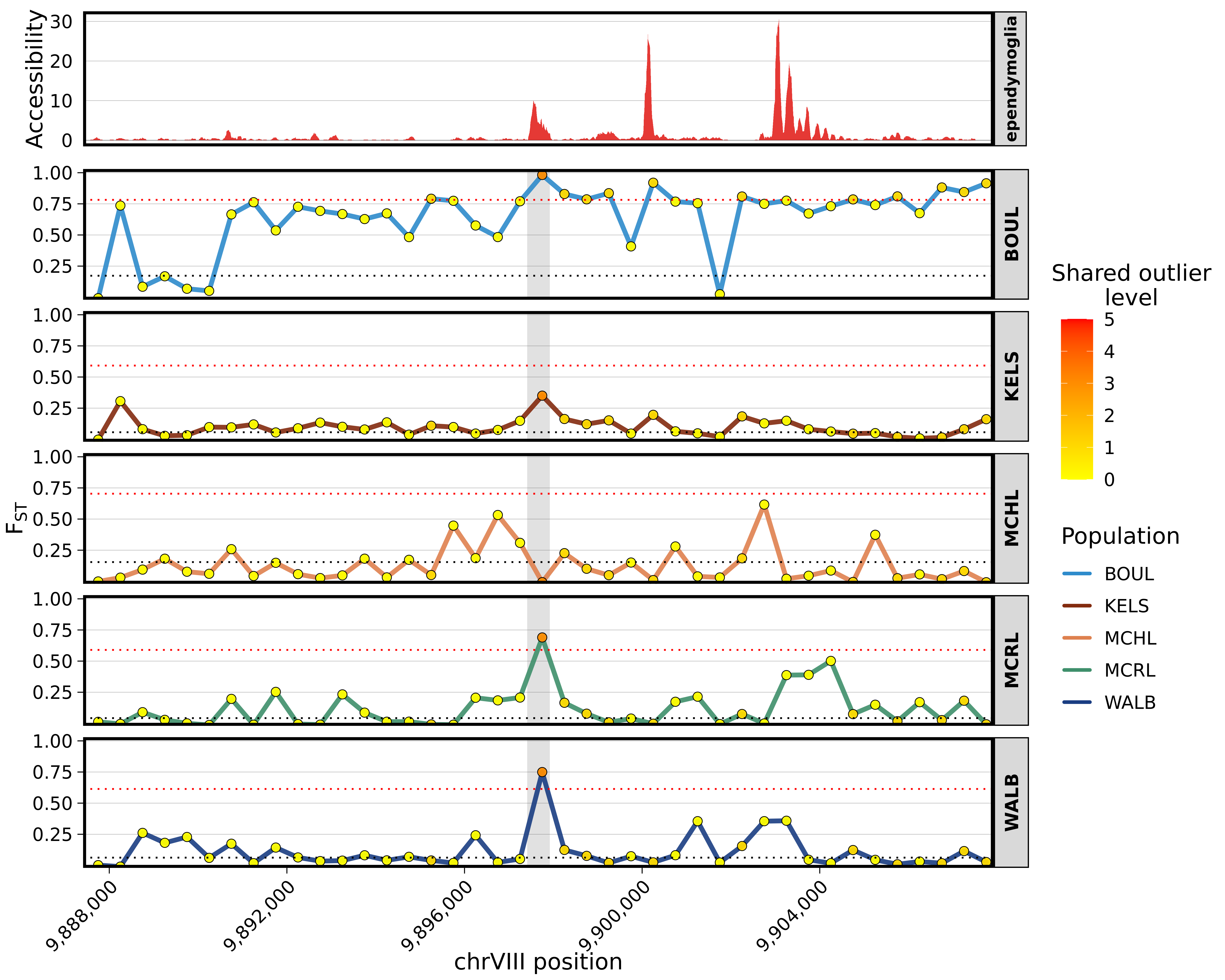 Chromatin accessibilty and Fst tracks.